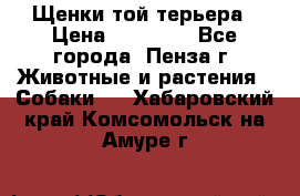 Щенки той терьера › Цена ­ 10 000 - Все города, Пенза г. Животные и растения » Собаки   . Хабаровский край,Комсомольск-на-Амуре г.
